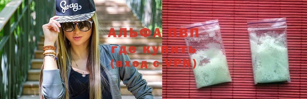 сатива Алзамай