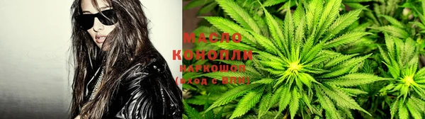 сатива Алзамай