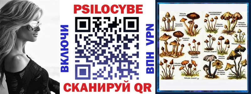 Галлюциногенные грибы мицелий  наркота  Северодвинск 